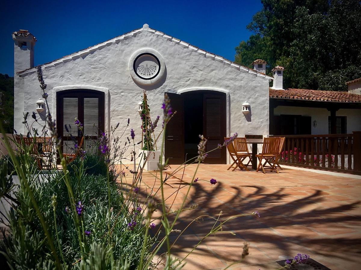 Double Room Terrace